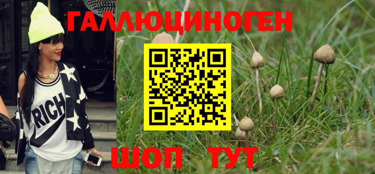 Элиста  Псилоцибиновые грибы Magic Shrooms  Галлюциногенные грибы Magic Shrooms  Вход с VPN 